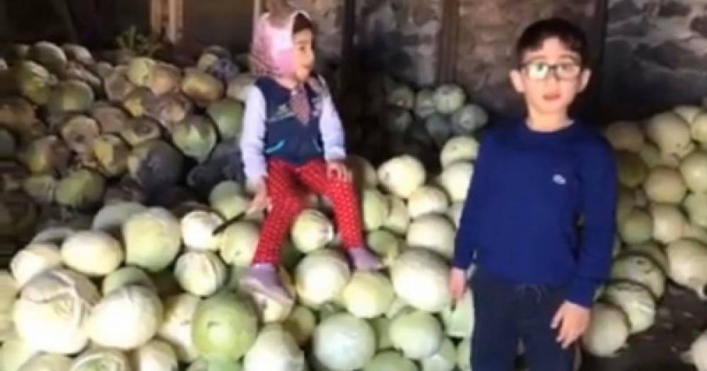 «Էսքան քյալամը տանջվել, ցանել եմ, որ հիմա սենց մաքրեմ, տամ կովերի՞ս». զոլաքարցի փոքրիկները դիմում են Փաշինյանին (տեսանյութ)