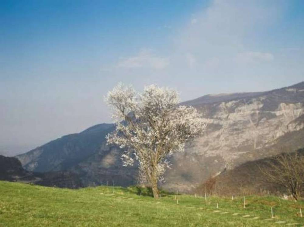 Օդի ջերմաստիճանը կբարձրանա․ շրջանների զգալի մասում տեղումներ չեն լինի