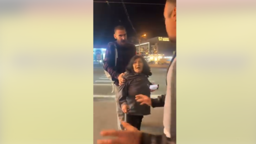 ՔՊ-ն Չախոյանի թեման շեղելու համար Ալեքսանյանի մորն են ուղարկել սադրելու․ Վրթանեսյան