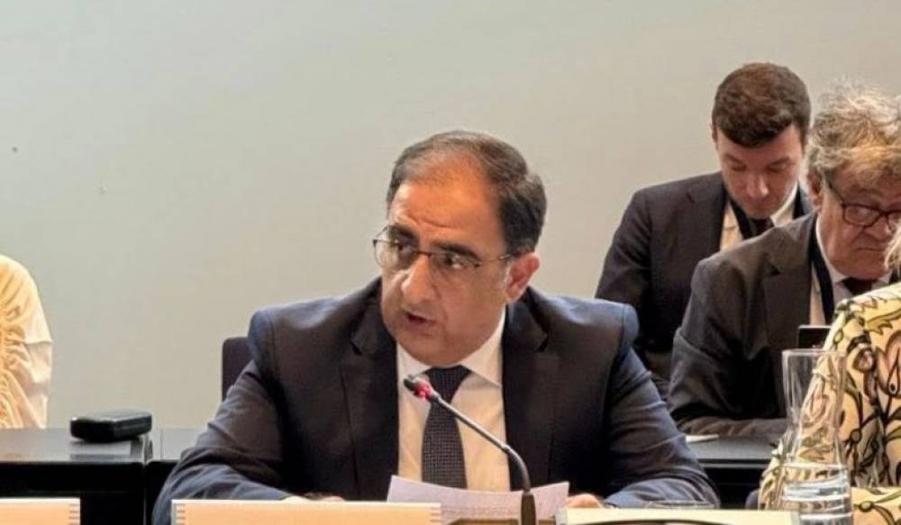 ՀՀ-ն հավատում է, որ խաղաղության ձգտումը կարող է կրկին միավորել մեզ․ դեսպան Հովհաննիսյանի ելույթը