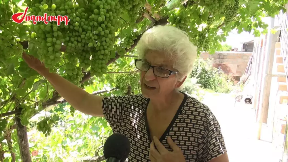 ՏԵՍԱՆՅՈՒԹ. Կանգնած էինք, եկավ մեր կողքով անցավ. Մարգարայի բնակիչները՝ Փաշինյանի վերաբերմունքի մասին