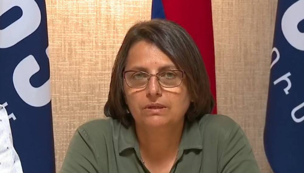 «Ի՞նչ ենք անելու, եթե վաղը պատերազմ սկսվի»․ Կարին Տոնոյան