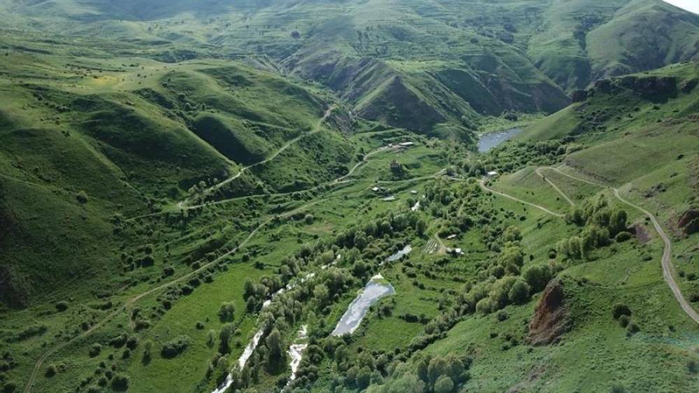 Արտառոց դեպք Սյունիքում