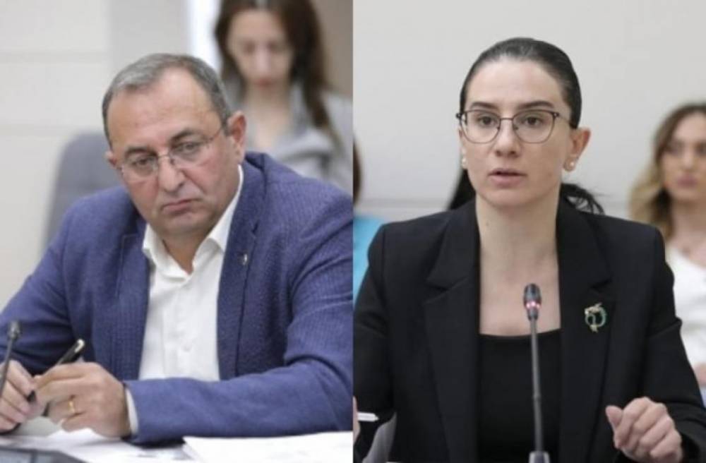 Աննա Վարդապետյանը պնդում է՝ Արծվիկ Մինասյանը չի կատարել ծառայողական պարտականությունները, պաշտոնեական դիրքը ծառայության շահերին հակառակ է օգտագործել