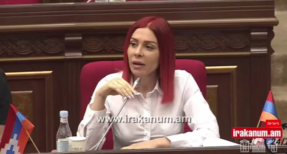 Դուք Նիկոլ Փաշինյանի համար եք ենթադրյալ օրիկանություն հաստատում․ Ագնեսա Խամոյանի կոշտ արձագանքը