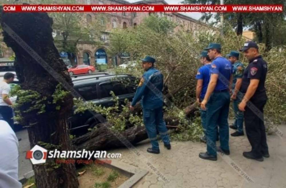 Քամու հետևանքով ծառը կոտրվել և ընկել է ճանապարհի թույլատրելի հատվածում կայանված ավտոմեքենայի վրա