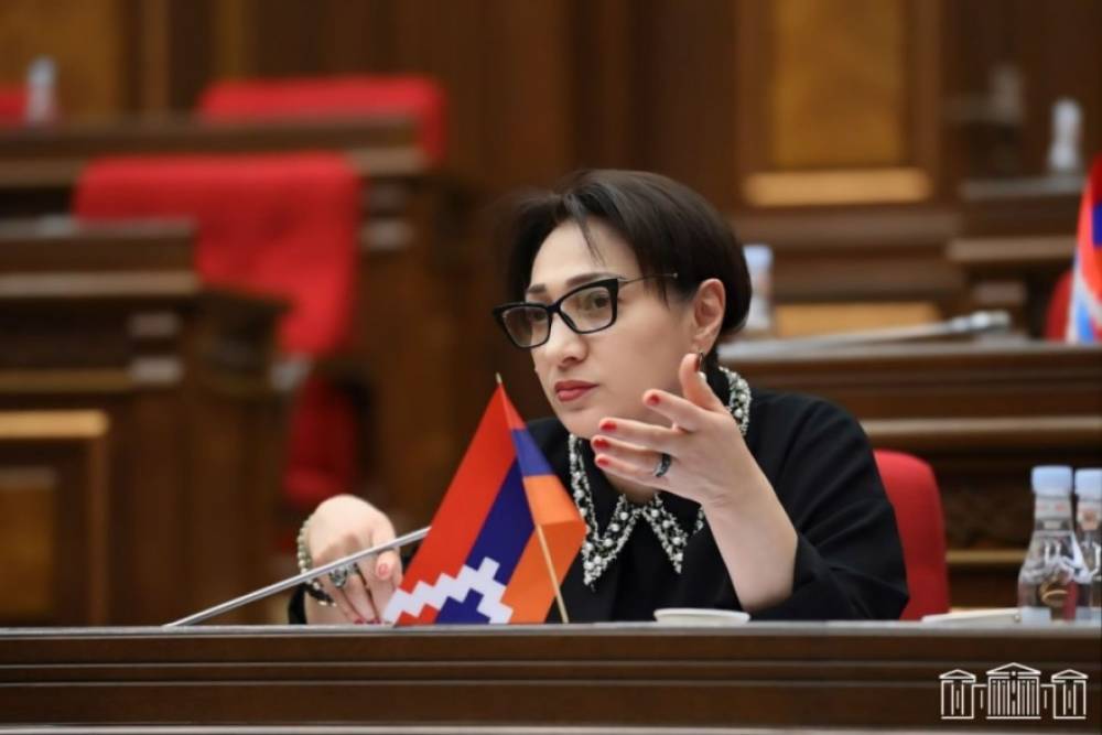 Այս զույգին ՀՀ բյուջեի հաշվին հարկադիր բուժման ուղարկել կամ հանրային վտանգավորությունը հաշվի առնելով՝ մեկուսացնել, բայց մի՞թե սա է ողջ իրականությունը․ Գալստյան