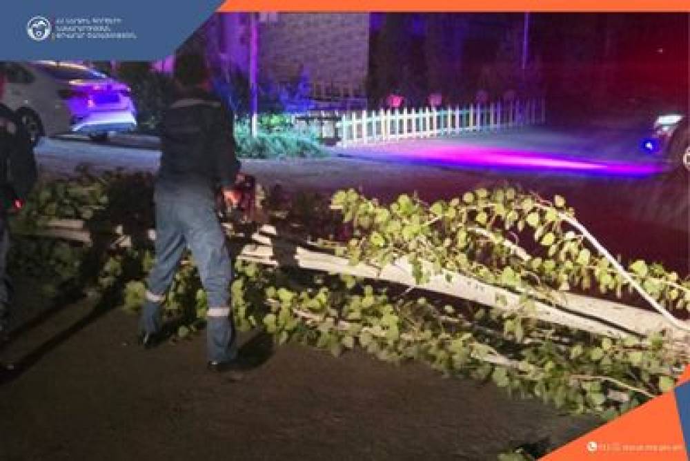 Ծառը կոտրվել և ընկել է Արտաշատ քաղաքի Երևանյան խճուղում․ ինչի հետևանքով երթևեկությունը դարձել է միակողմանի
