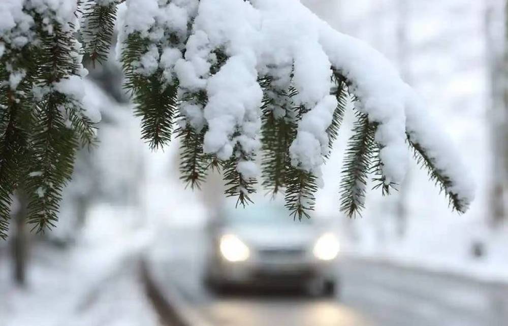 Ձյուն կտեղա