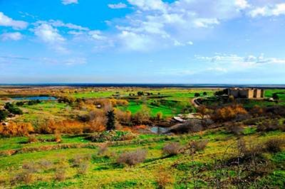 Տիգրանակերտ. արքայից արքայի քաղաքն առաջին պատերազմի ժամանակ ազատագրվել է, այս անգամ կտոնի նոր հաղթանակը. Վ. Պողոսյան